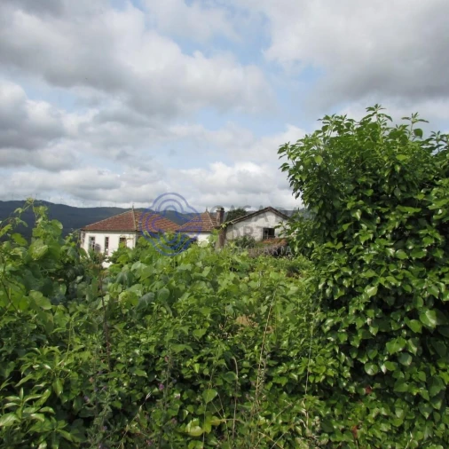 Quinta T4 para Venda em Tangil Foto 29