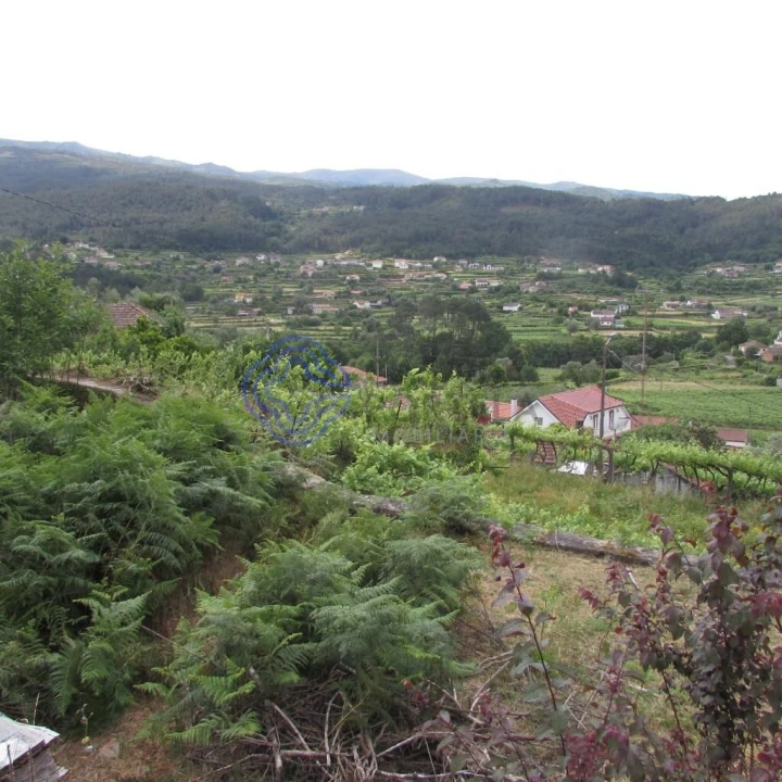 Quinta T4 para Venda em Tangil Foto 8