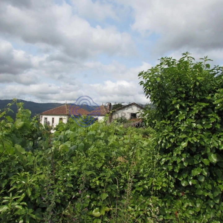 Quinta T4 para Venda em Tangil Foto 29