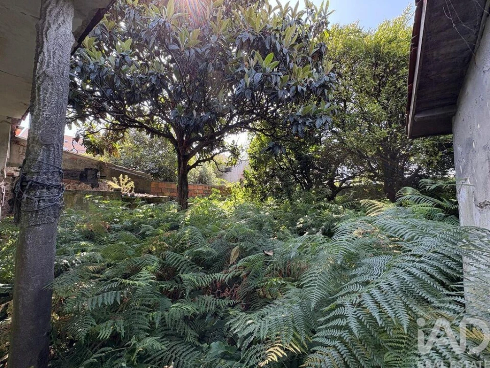 Moradia T3 para Venda em Ramalde Foto 7