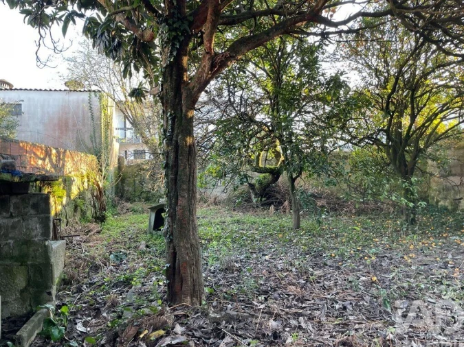 Moradia T3 para Venda em Ramalde Foto 15