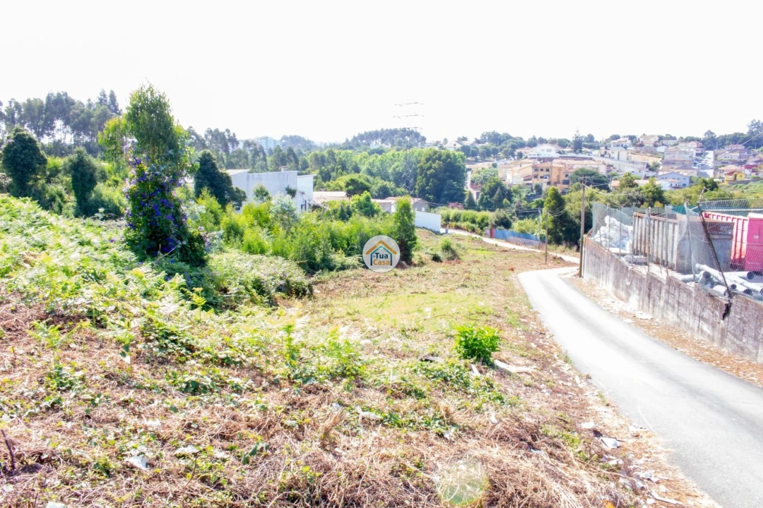 Terreno para Venda em São Paio de Oleiros Foto 4