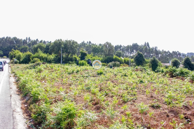 Terreno para Venda em São Paio de Oleiros Foto 6