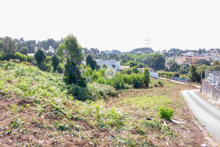 Terreno para Venda em São Paio de Oleiros Foto 2