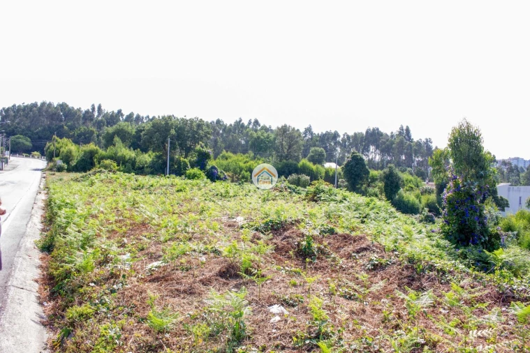 Terreno para Venda em São Paio de Oleiros Foto 5