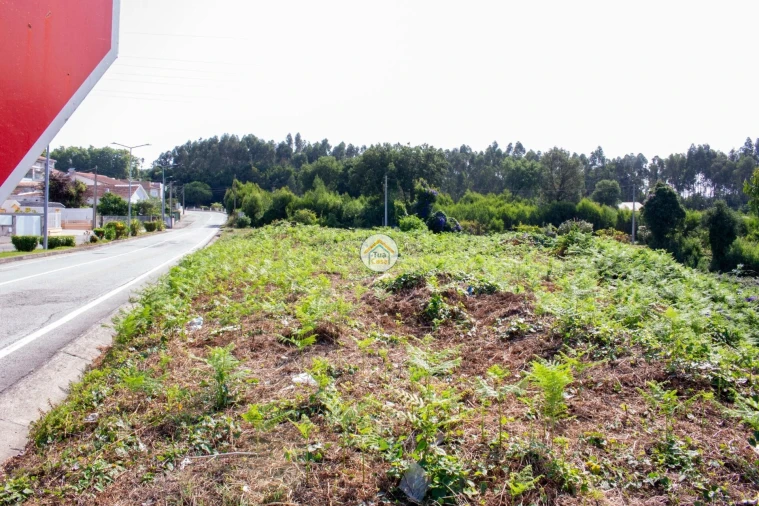 Terreno para Venda em São Paio de Oleiros