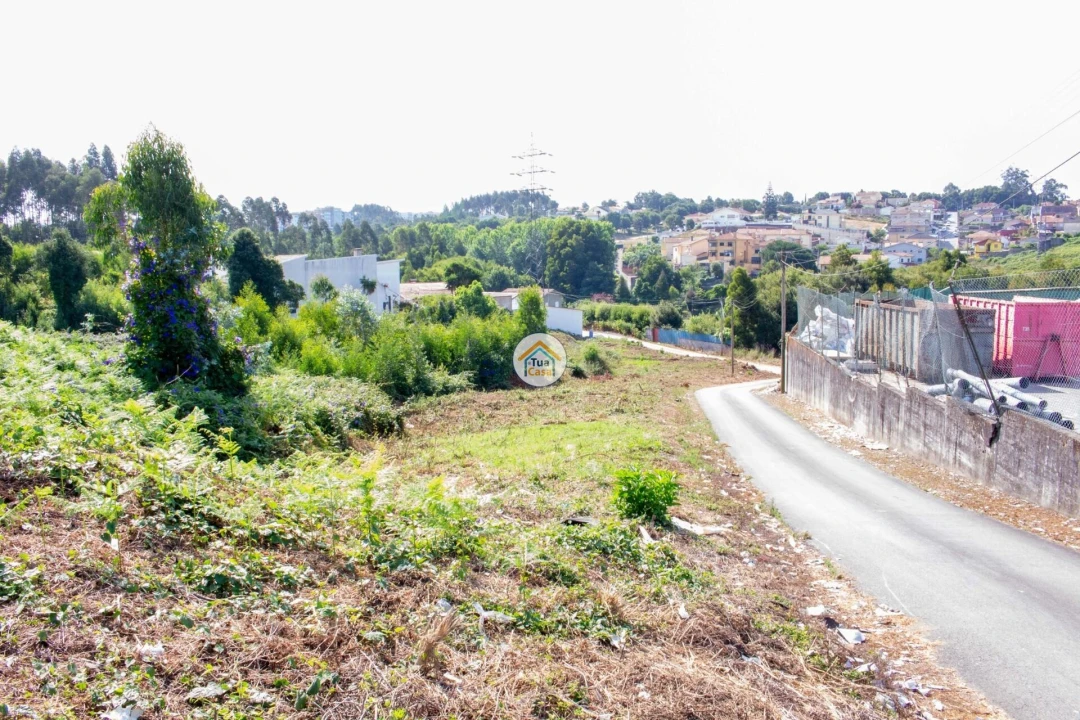 Terreno para Venda em São Paio de Oleiros Foto 3