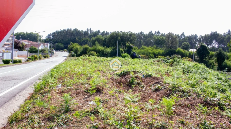 Terreno para Venda em São Paio de Oleiros