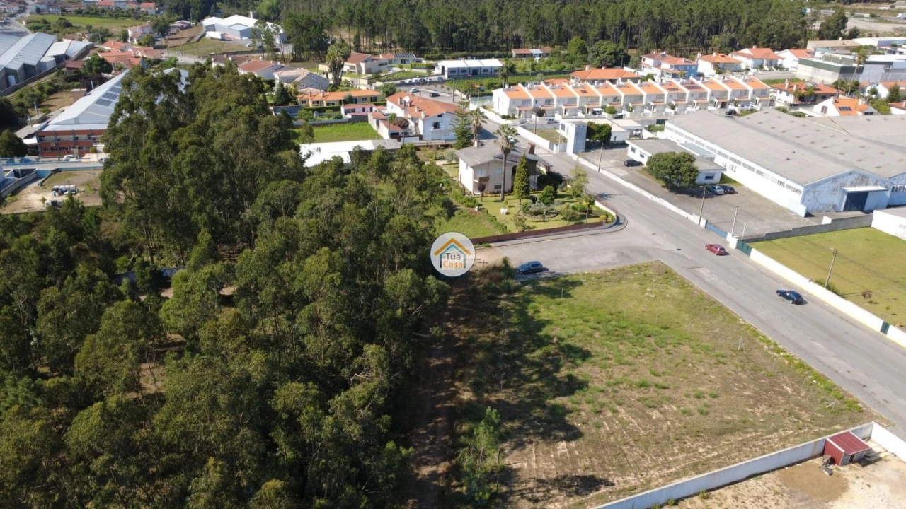Terreno para Venda em Rio Meão Foto 19