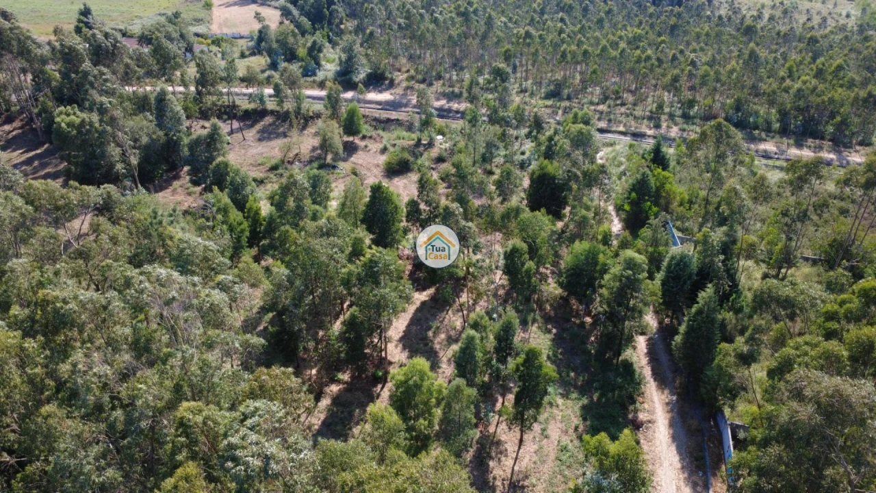 Terreno para Venda em Rio Meão Foto 16