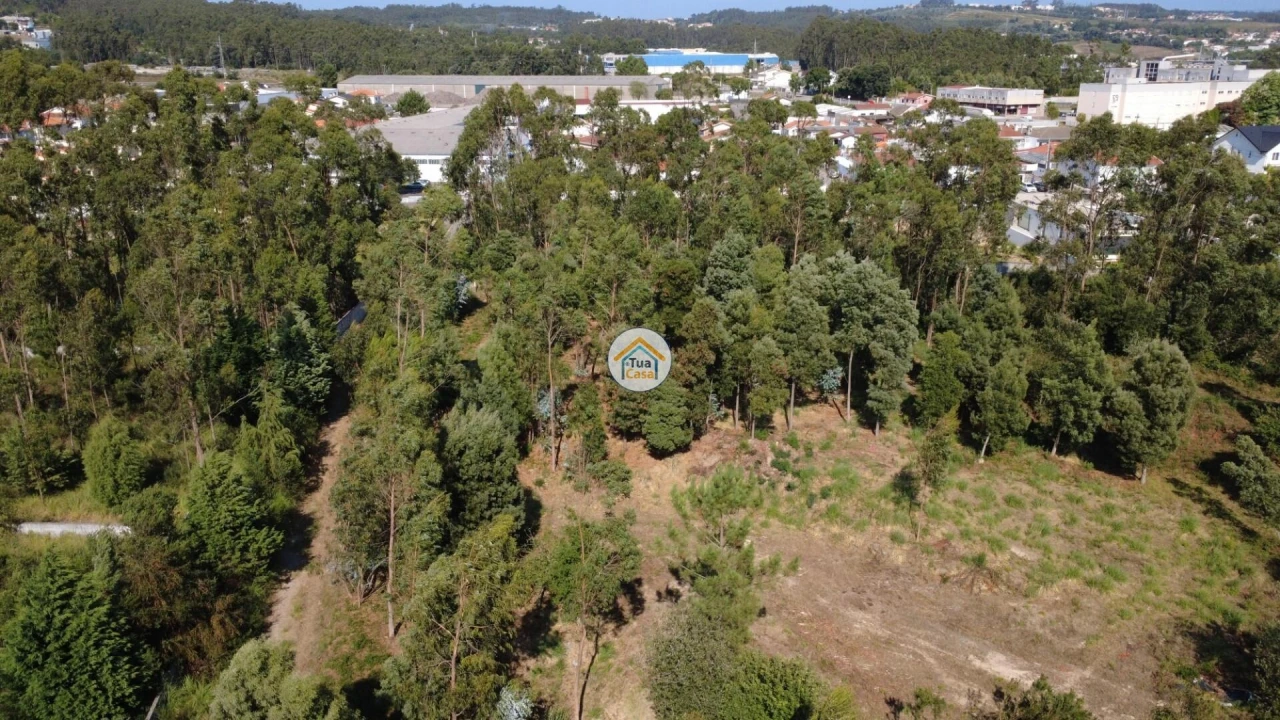 Terreno para Venda em Rio Meão Foto 10