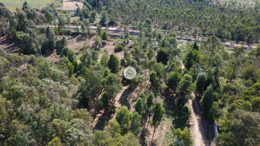 Terreno para Venda em Rio Meão Foto 16