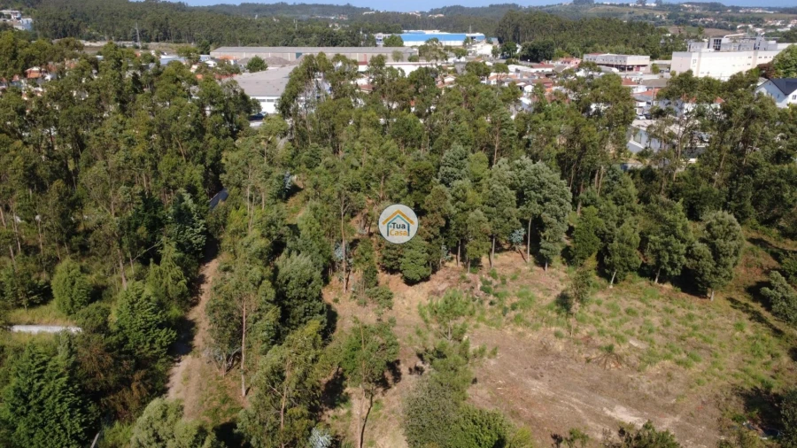 Terreno para Venda em Rio Meão Foto 10