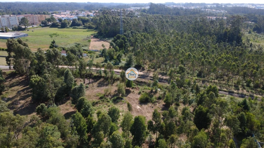 Terreno para Venda em Rio Meão Foto 17