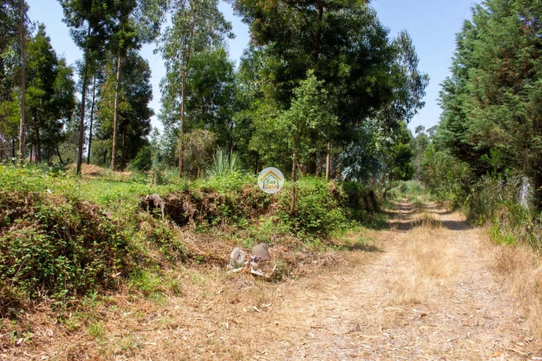 Terreno para Venda em Rio Meão Foto 6