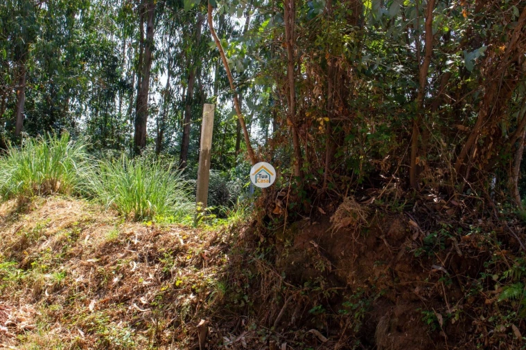 Terreno para Venda em Rio Meão Foto 8