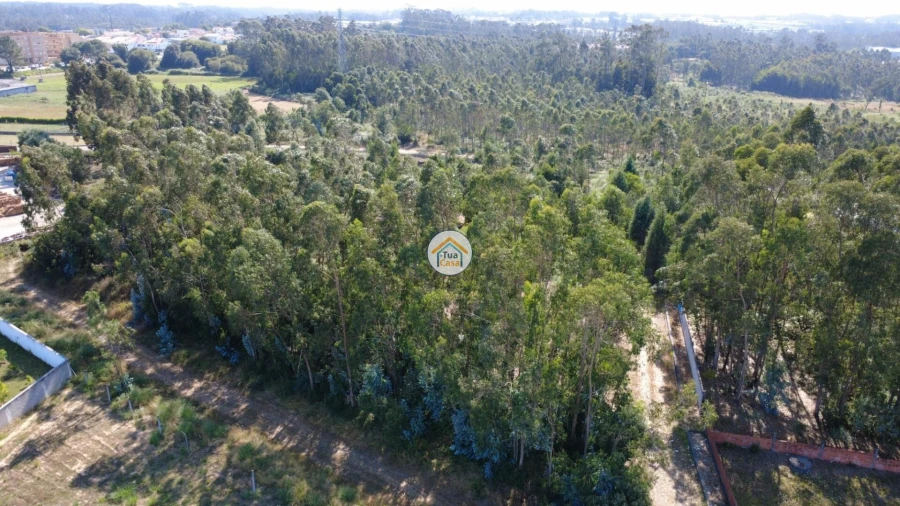 Terreno para Venda em Rio Meão Foto 15