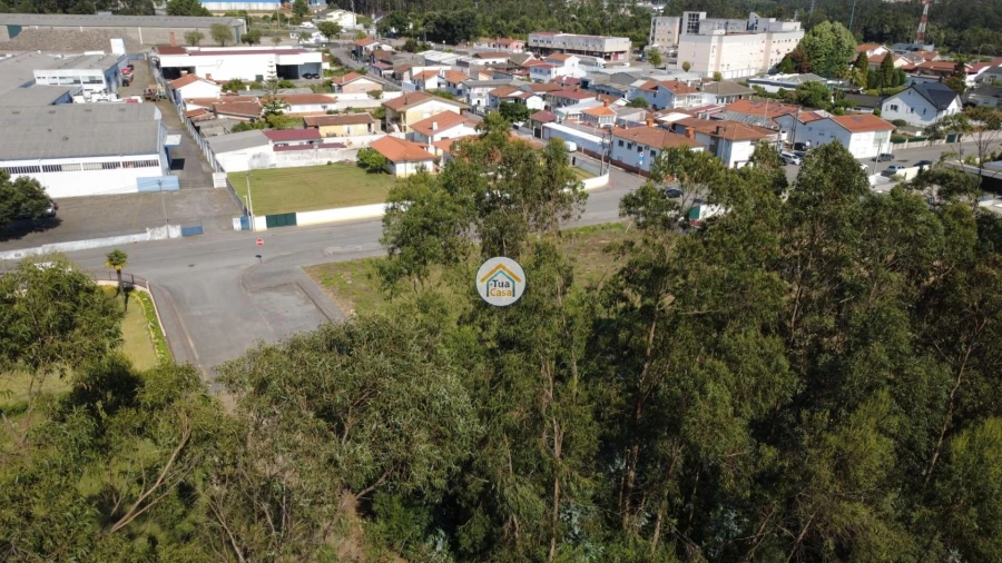 Terreno para Venda em Rio Meão Foto 14