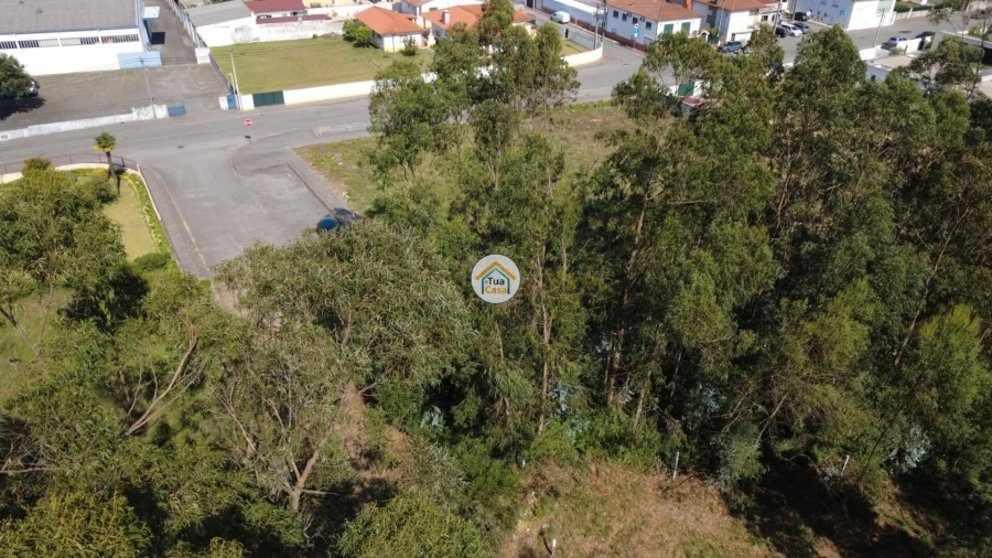 Terreno para Venda em Rio Meão Foto 13