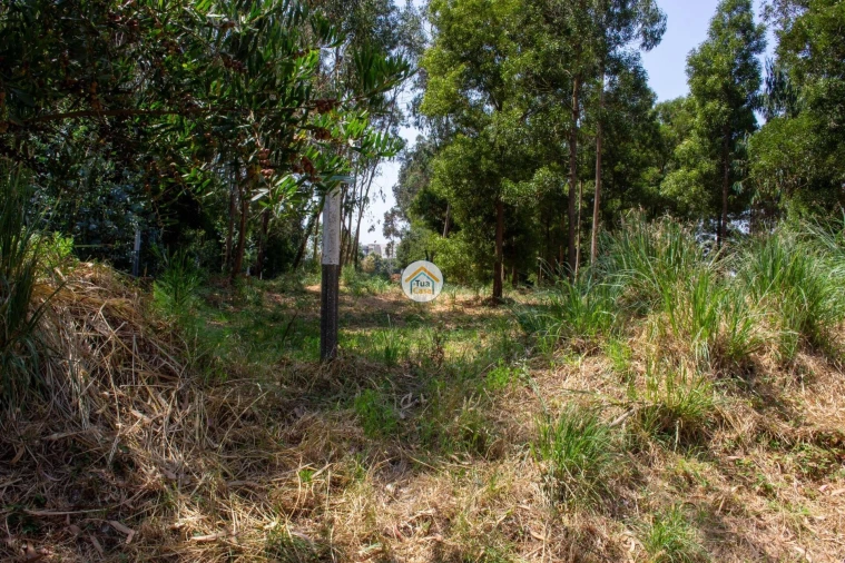 Terreno para Venda em Rio Meão Foto 2