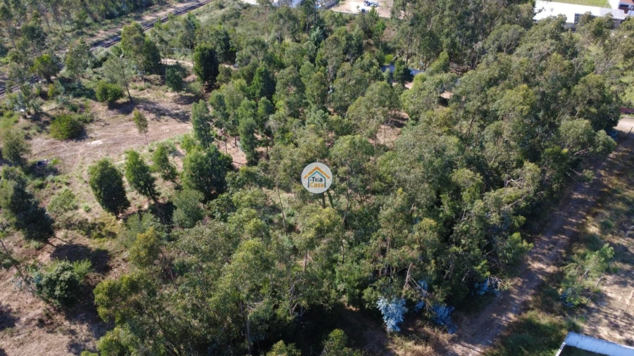 Terreno para Venda em Rio Meão Foto 18