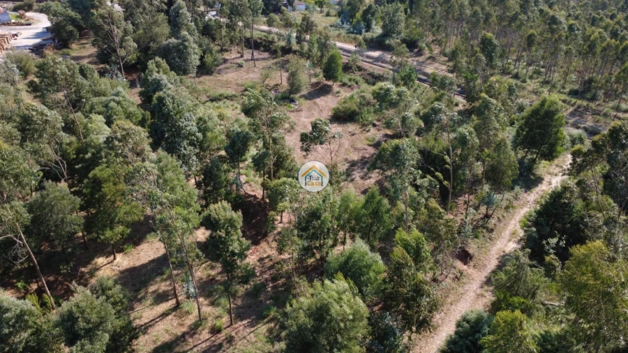 Terreno para Venda em Rio Meão Foto 12