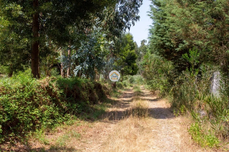 Terreno para Venda em Rio Meão Foto 5