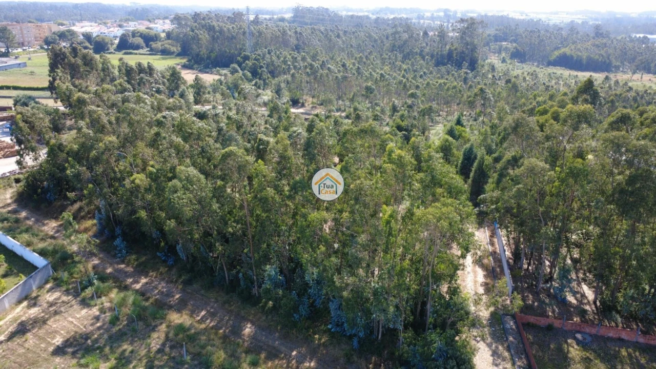 Terreno para Venda em Rio Meão Foto 15