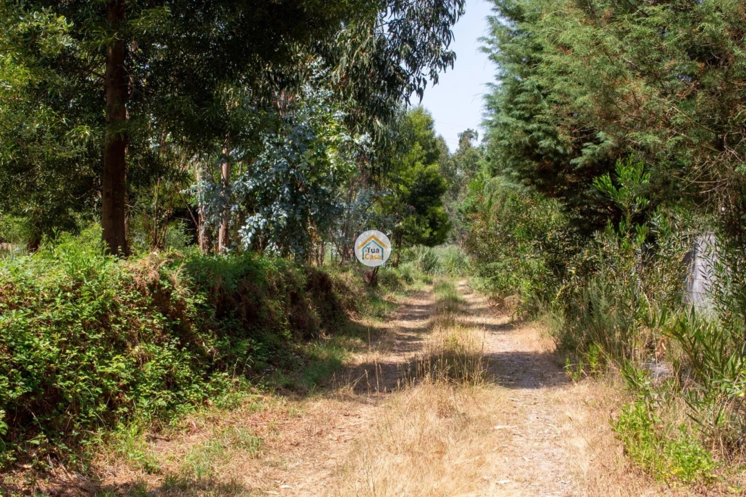 Terreno para Venda em Rio Meão Foto 5