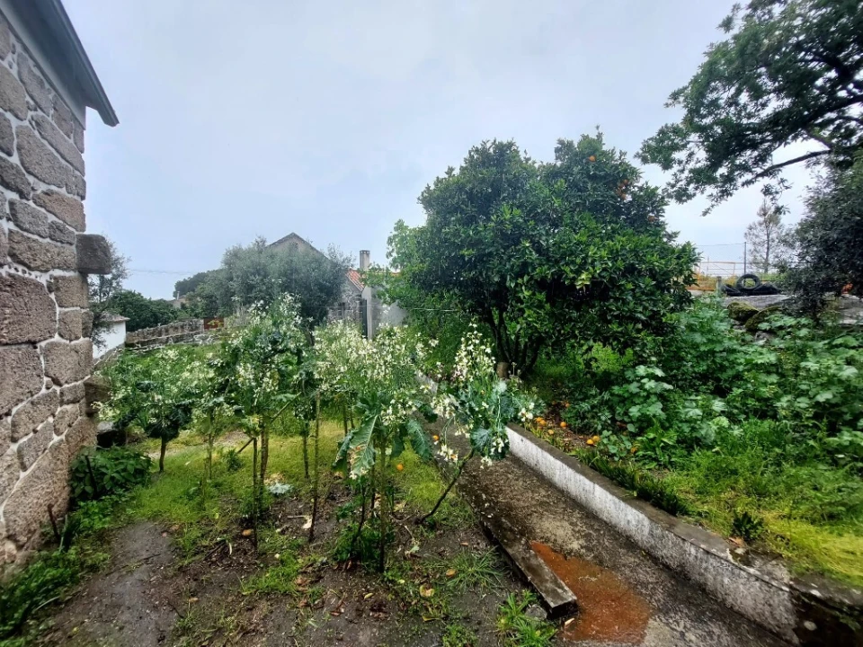 Moradia T3 para Venda em Ervedal e Vila Franca da Beira Foto 3