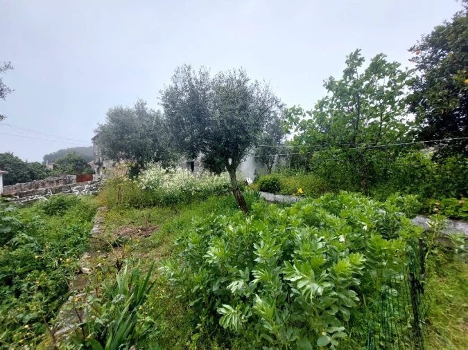 Moradia T3 para Venda em Ervedal e Vila Franca da Beira Foto 36