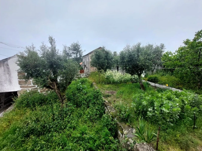 Moradia T3 para Venda em Ervedal e Vila Franca da Beira Foto 5