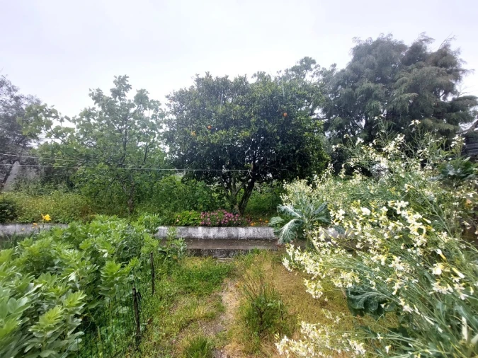 Moradia T3 para Venda em Ervedal e Vila Franca da Beira Foto 17