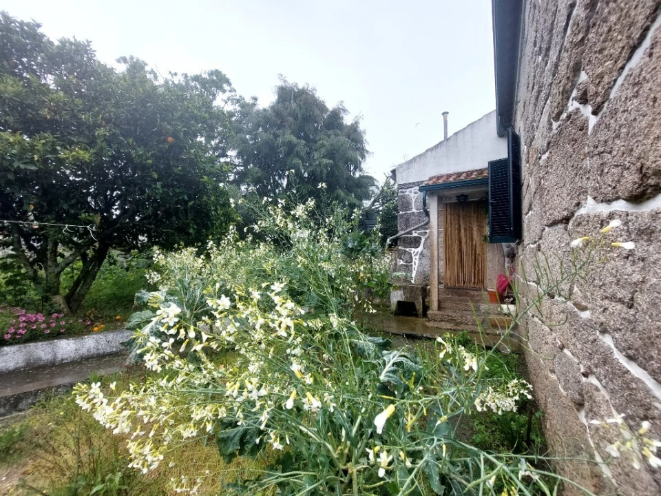 Moradia T3 para Venda em Ervedal e Vila Franca da Beira Foto 39