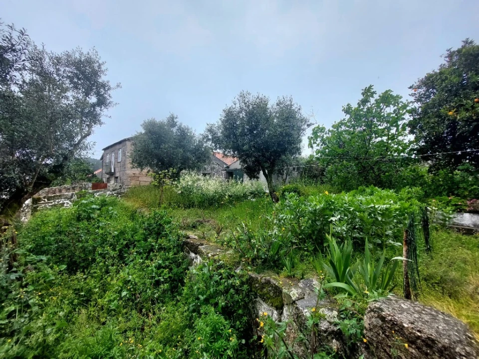 Moradia T3 para Venda em Ervedal e Vila Franca da Beira Foto 16