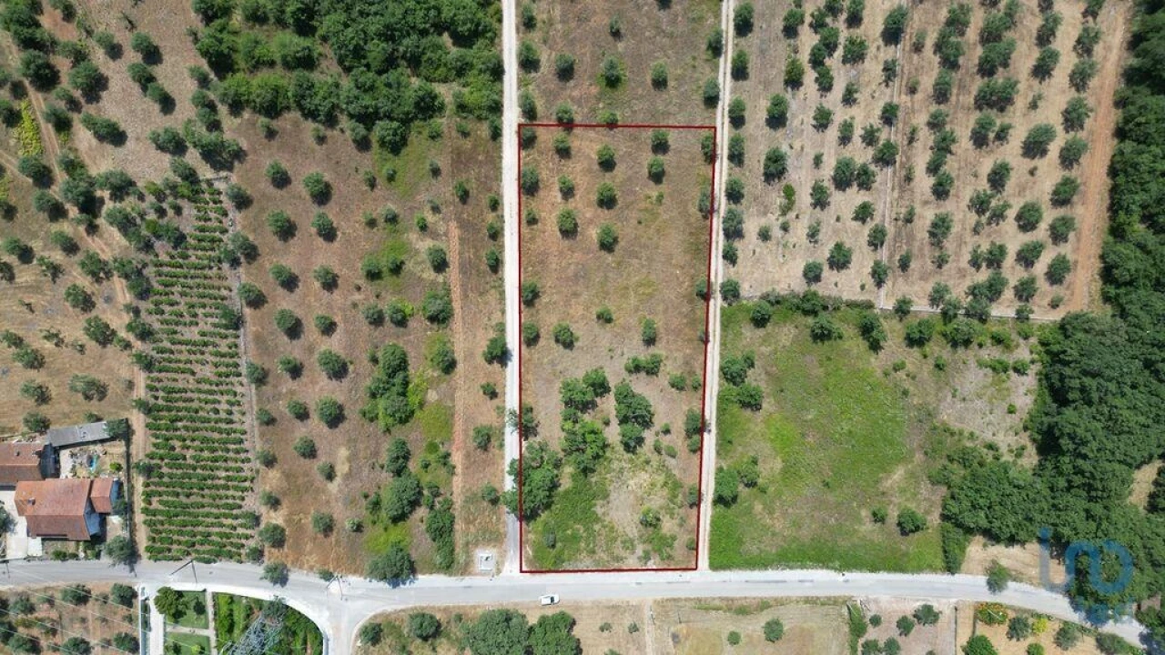 Terreno para Venda em Chão de Couce Foto 1