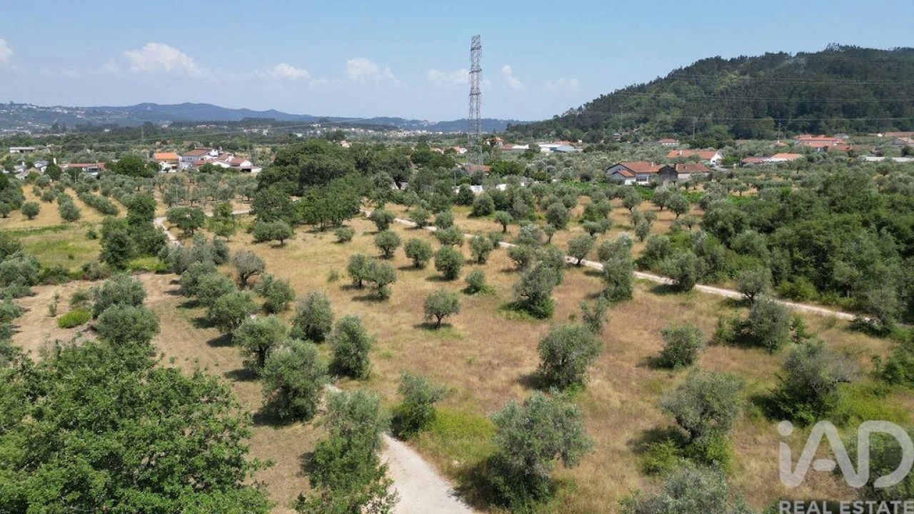 Terreno para Venda em Chão de Couce Foto 19