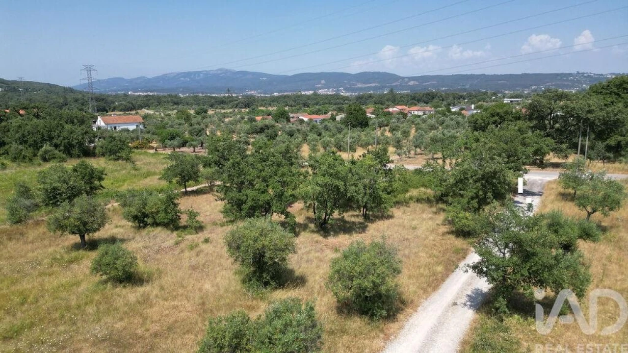 Terreno para Venda em Chão de Couce Foto 17