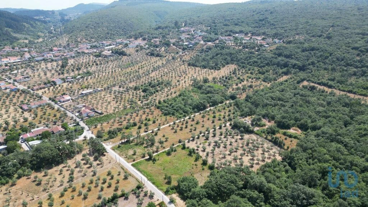 Terreno para Venda em Chão de Couce Foto 4