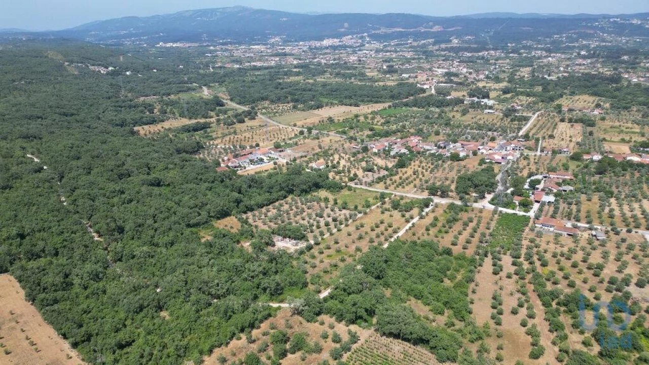 Terreno para Venda em Chão de Couce Foto 9