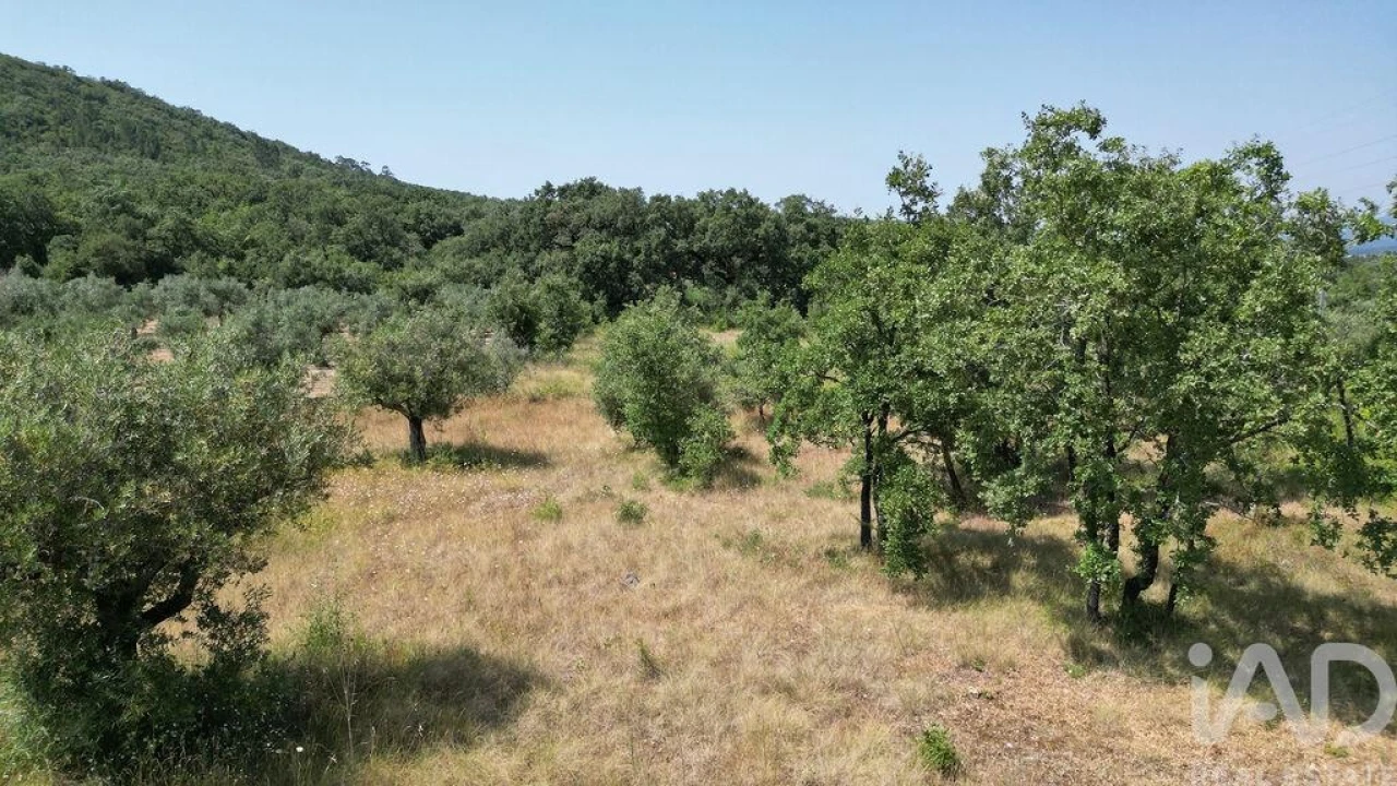 Terreno para Venda em Chão de Couce Foto 20