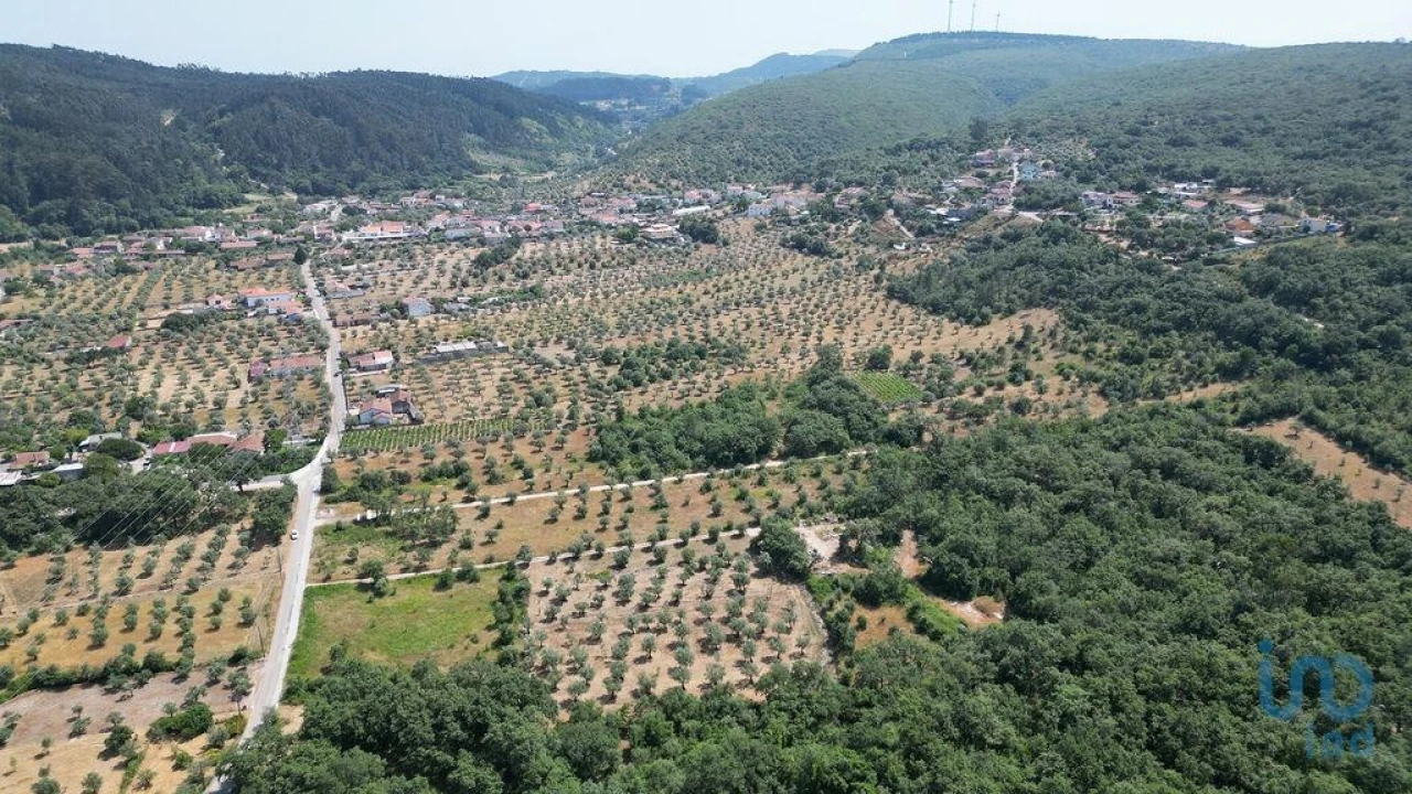 Terreno para Venda em Chão de Couce Foto 5