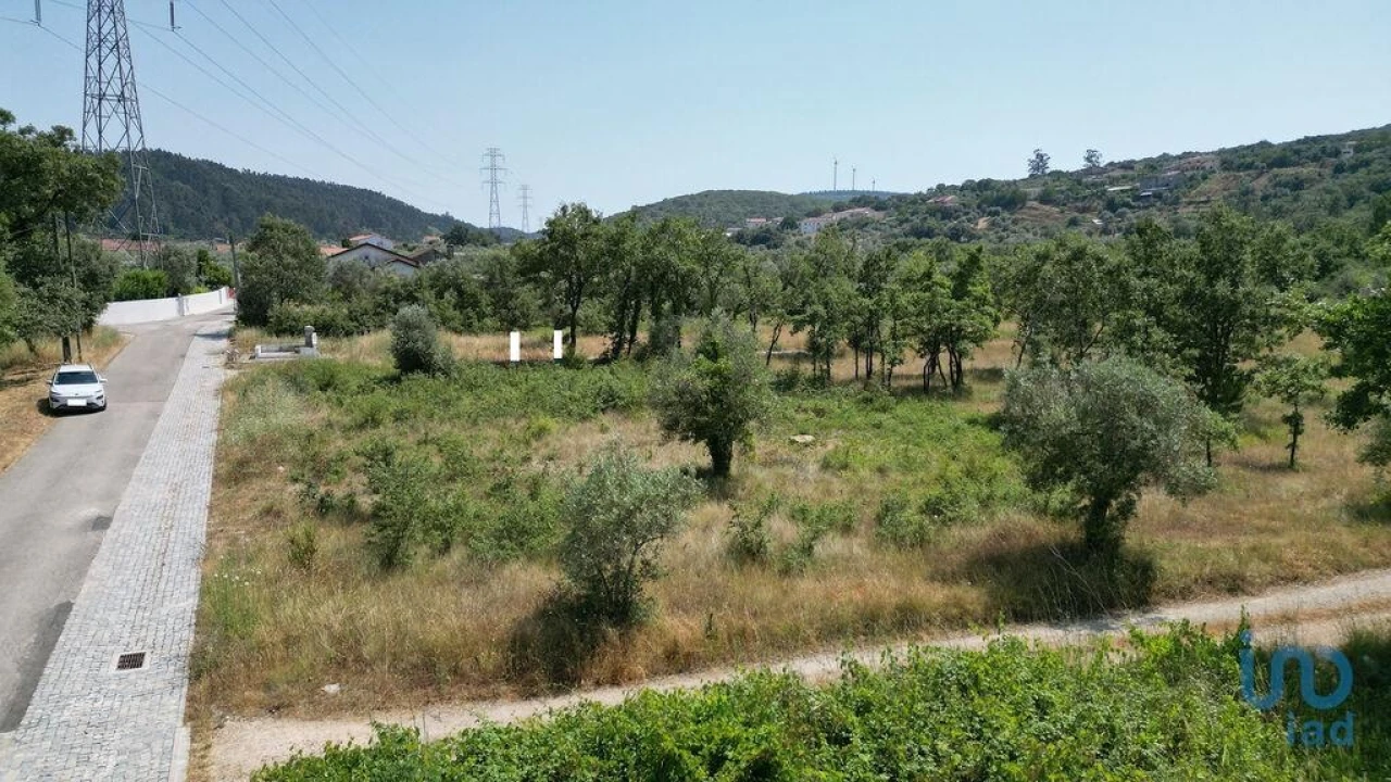 Terreno para Venda em Chão de Couce Foto 12