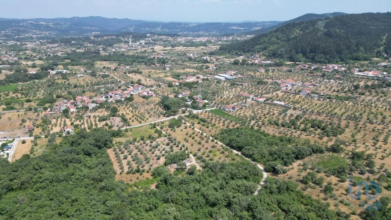 Terreno para Venda em Chão de Couce Foto 7