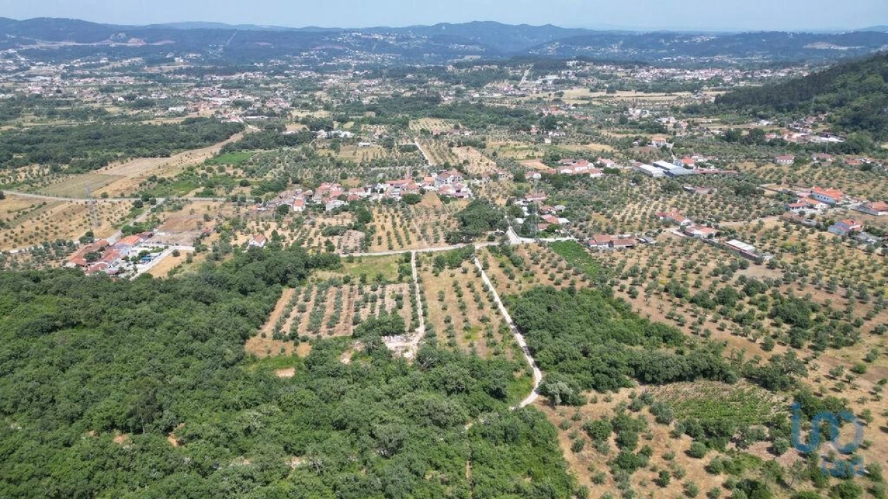 Terreno para Venda em Chão de Couce Foto 8
