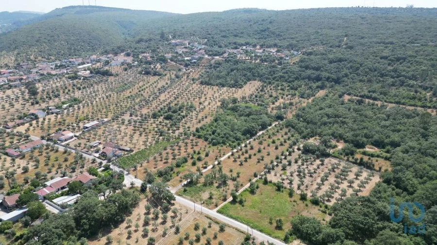 Terreno para Venda em Chão de Couce Foto 3