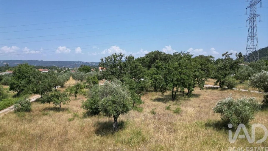 Terreno para Venda em Chão de Couce Foto 16