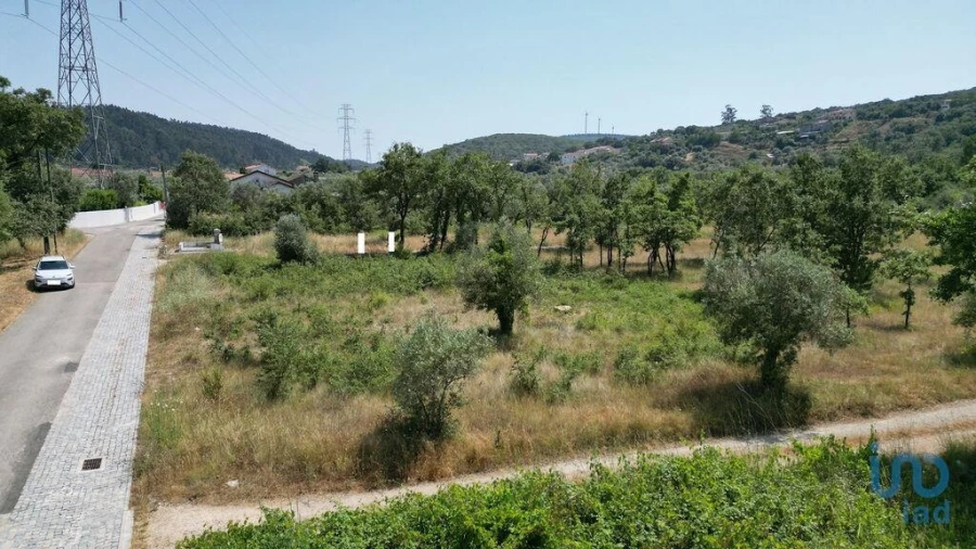 Terreno para Venda em Chão de Couce Foto 12