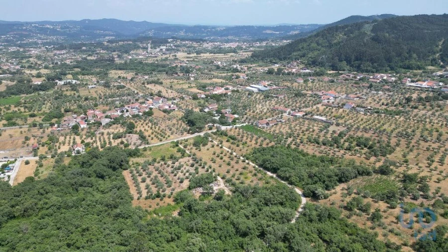 Terreno para Venda em Chão de Couce Foto 7