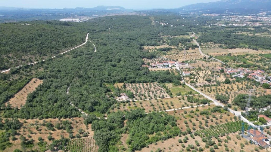 Terreno para Venda em Chão de Couce Foto 10